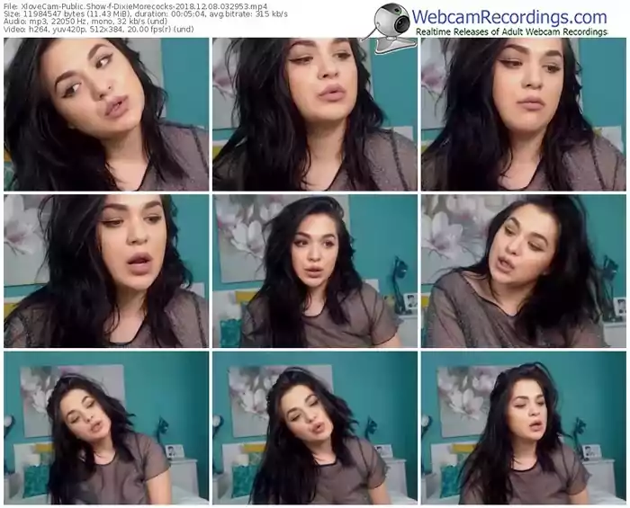 xlovecam-dixiemorecocks-webcam-show-12_08_2018-03_29_53