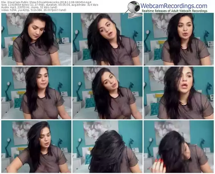 xlovecam-dixiemorecocks-webcam-show-12_08_2018-04_04_54