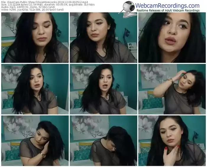 xlovecam-dixiemorecocks-webcam-show-12_09_2018-00_25_12