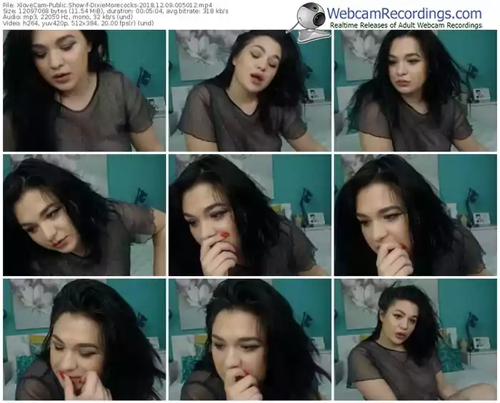 xlovecam-dixiemorecocks-webcam-show-12_09_2018-00_50_12