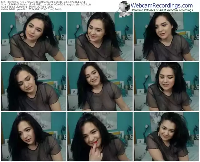 xlovecam-dixiemorecocks-webcam-show-12_09_2018-02_20_14