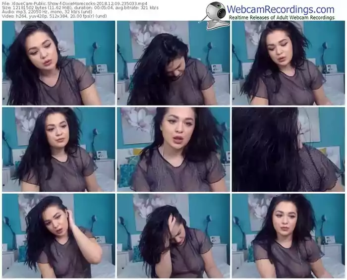 xlovecam-dixiemorecocks-webcam-show-12_09_2018-23_50_33