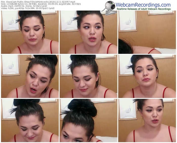 xlovecam-dixiemorecocks-webcam-show-12_11_2018-02_20_57