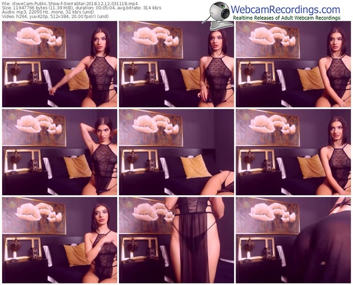xlovecam-sierrastar-webcam-show-12_12_2018-03_11_18