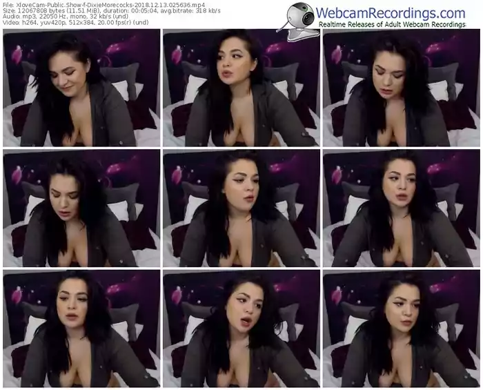 xlovecam-dixiemorecocks-webcam-show-12_13_2018-02_56_36