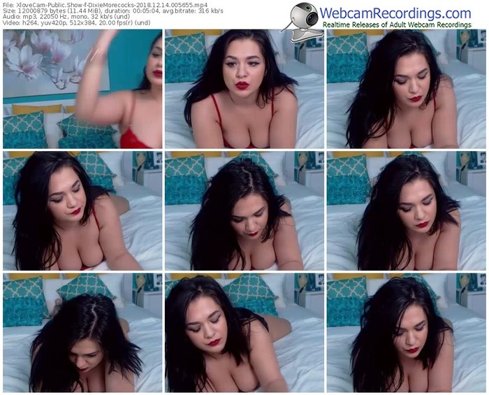 xlovecam-dixiemorecocks-webcam-show-12_14_2018-00_56_55