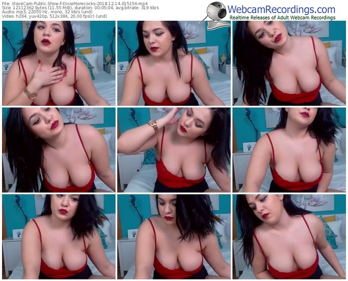 xlovecam-dixiemorecocks-webcam-show-12_14_2018-01_51_56