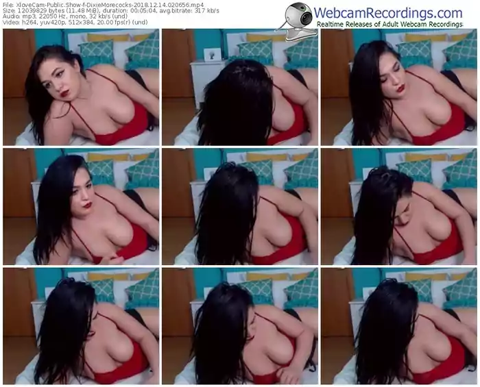 xlovecam-dixiemorecocks-webcam-show-12_14_2018-02_06_56