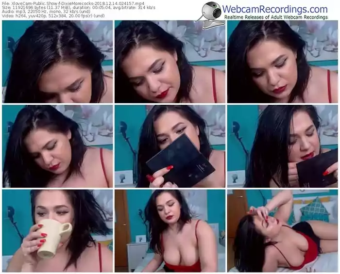 xlovecam-dixiemorecocks-webcam-show-12_14_2018-02_41_57