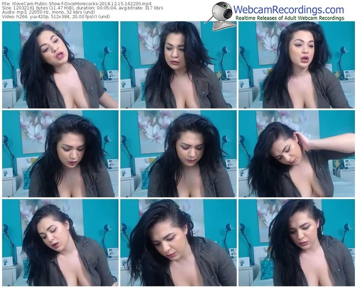 xlovecam-dixiemorecocks-webcam-show-12_15_2018-14_22_30