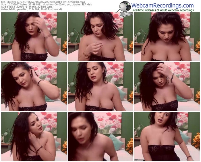 xlovecam-dixiemorecocks-webcam-show-12_16_2018-22_08_01