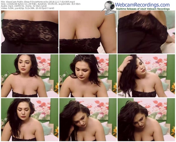 xlovecam-dixiemorecocks-webcam-show-12_17_2018-01_43_05