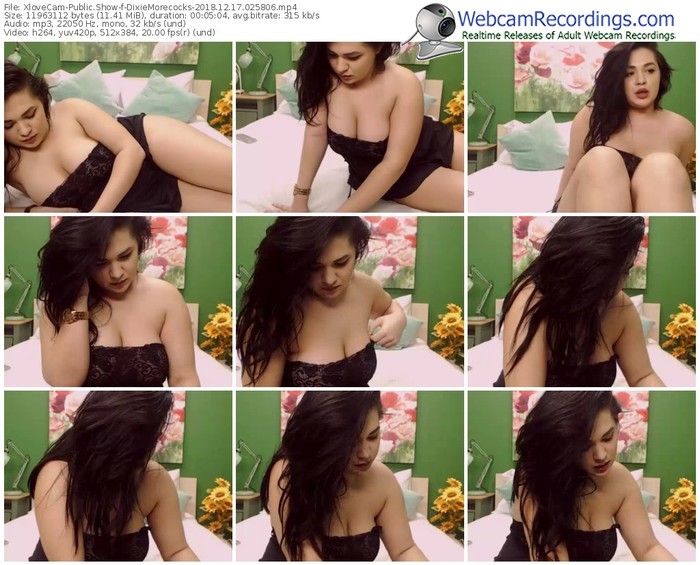 xlovecam-dixiemorecocks-webcam-show-12_17_2018-02_58_06