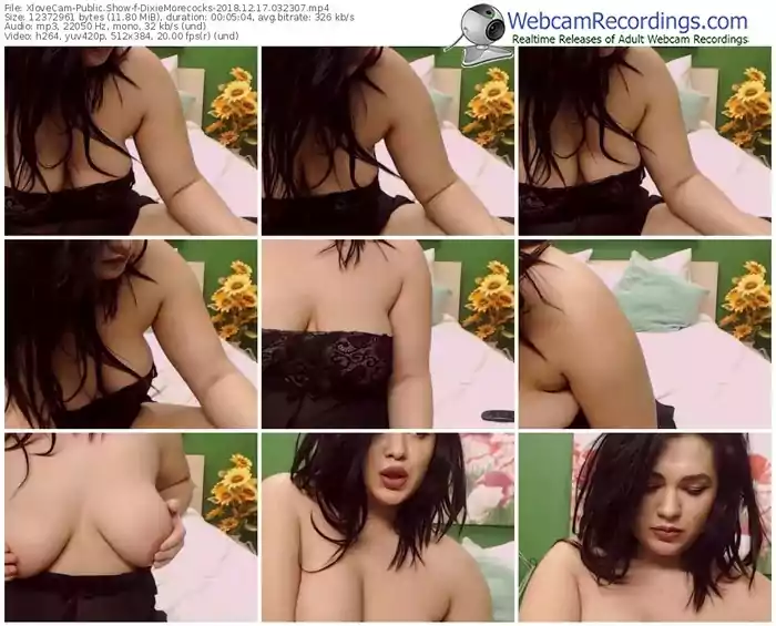 xlovecam-dixiemorecocks-webcam-show-12_17_2018-03_23_07