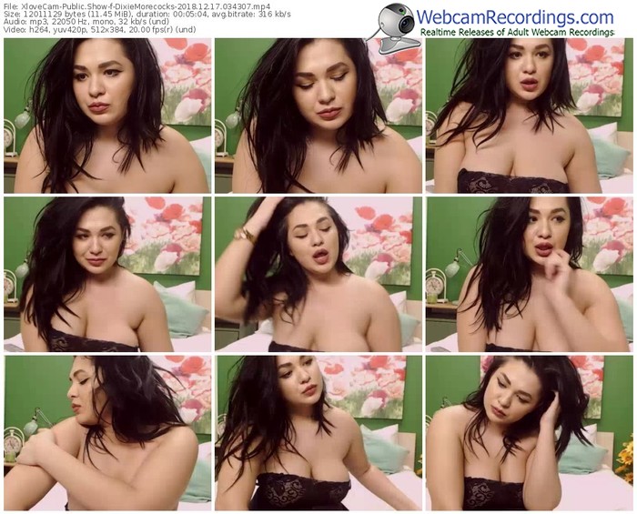 xlovecam-dixiemorecocks-webcam-show-12_17_2018-03_43_07