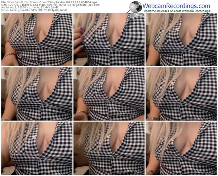 xlovecam-onehotsexysandra-webcam-show-12_17_2018-00_48_04