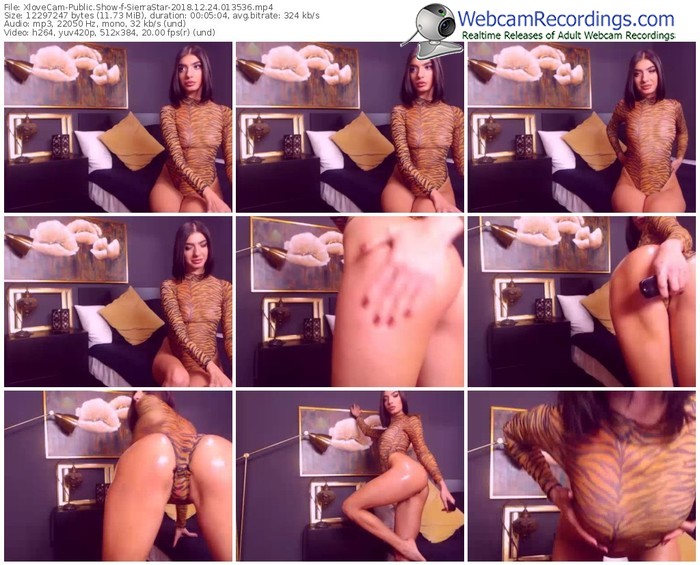 xlovecam-sierrastar-webcam-show-12_24_2018-01_35_36