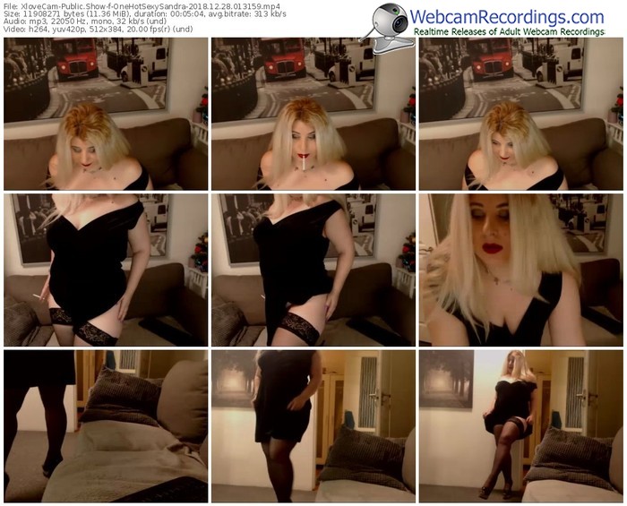 xlovecam-onehotsexysandra-webcam-show-12_28_2018-01_31_59