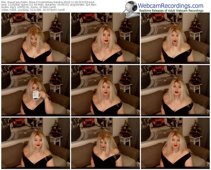 xlovecam-onehotsexysandra-webcam-show-12_28_2018-01_51_59