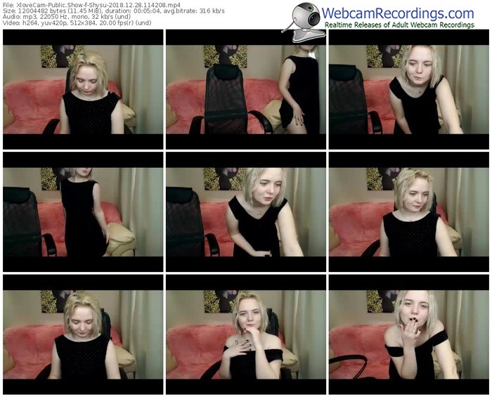 xlovecam-shysu-webcam-show-12_28_2018-11_42_08