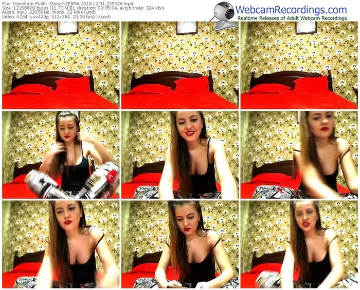 xlovecam-zebra-webcam-show-12_31_2018-22_53_26