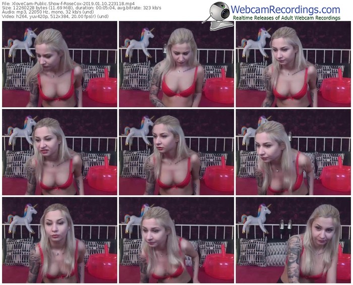 xlovecam-rosecox-webcam-show-01_10_2019-22_31_18