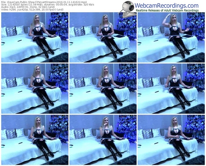 xlovecam-pervertdreams-webcam-show-01_11_2019-14_16_22