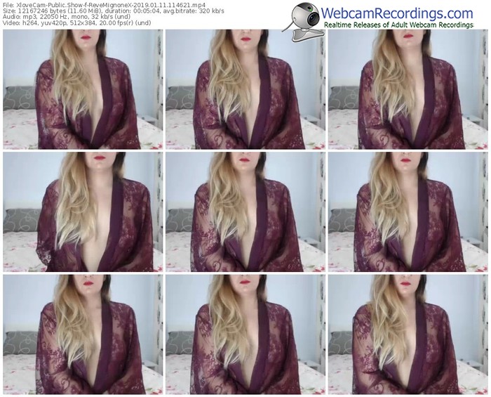 xlovecam-revemignonex-webcam-show-01_11_2019-11_46_21