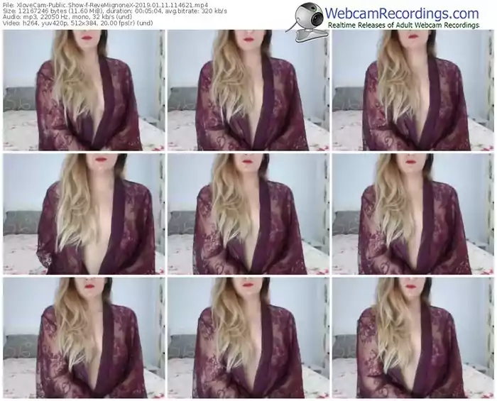 xlovecam-revemignonex-webcam-show-01_11_2019-11_46_21