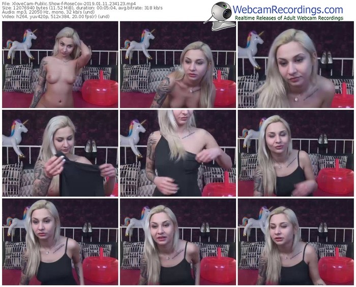 xlovecam-rosecox-webcam-show-01_11_2019-23_41_23