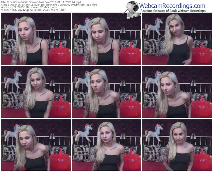 xlovecam-rosecox-webcam-show-01_11_2019-23_51_24