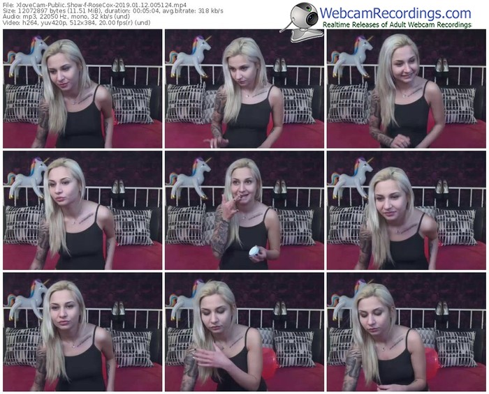 xlovecam-rosecox-webcam-show-01_12_2019-00_51_24