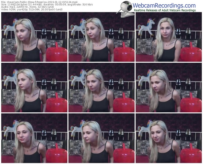 xlovecam-rosecox-webcam-show-01_12_2019-01_51_24