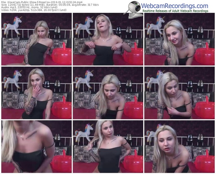 xlovecam-rosecox-webcam-show-01_12_2019-02_31_24