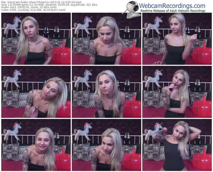 xlovecam-rosecox-webcam-show-01_12_2019-02_51_24