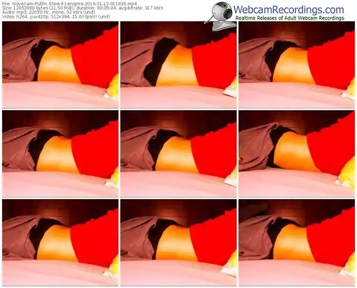 xlovecam-1enigma-webcam-show-01_13_2019-01_16_35