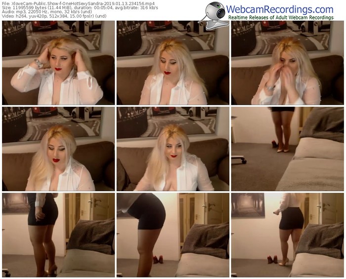 xlovecam-onehotsexysandra-webcam-show-01_13_2019-23_41_56