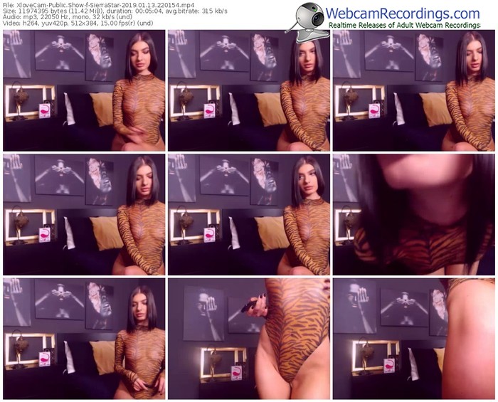 xlovecam-sierrastar-webcam-show-01_13_2019-22_01_54