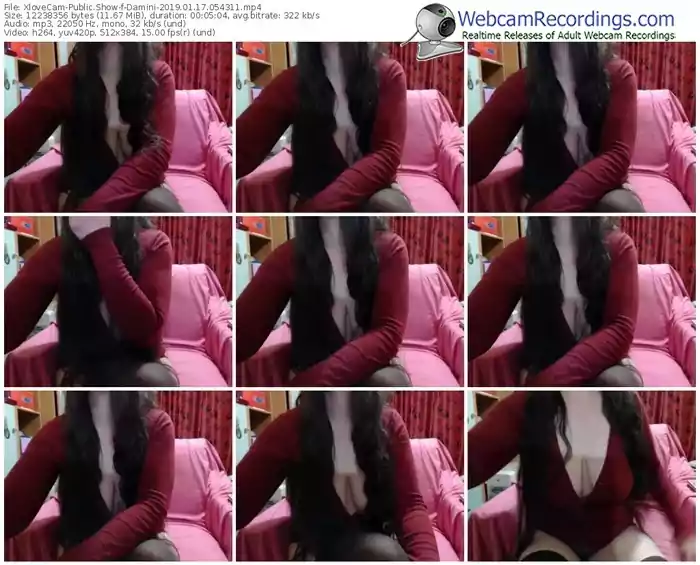xlovecam-damini-webcam-show-01_17_2019-05_43_11