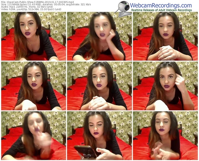 xlovecam-zebra-webcam-show-01_17_2019-00_03_05