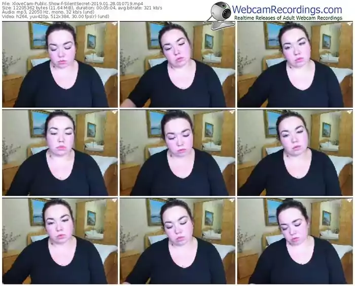 xlovecam-silentsecret-webcam-show-01_28_2019-01_07_19