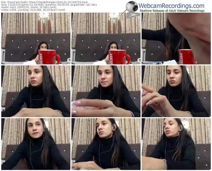 xlovecam-sandymorgan-webcam-show-01_29_2019-16_57_52