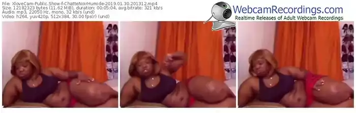 xlovecam-chattenoirhumide-webcam-show-01_30_2019-20_13_12