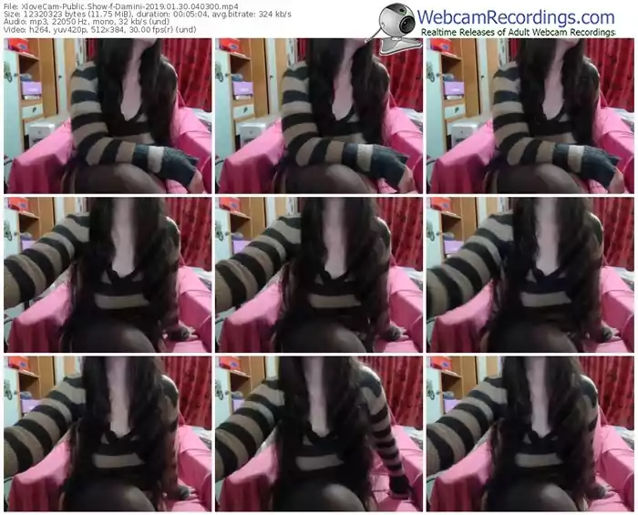 xlovecam-damini-webcam-show-01_30_2019-04_03_00