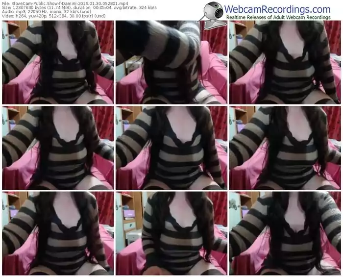 xlovecam-damini-webcam-show-01_30_2019-05_28_01