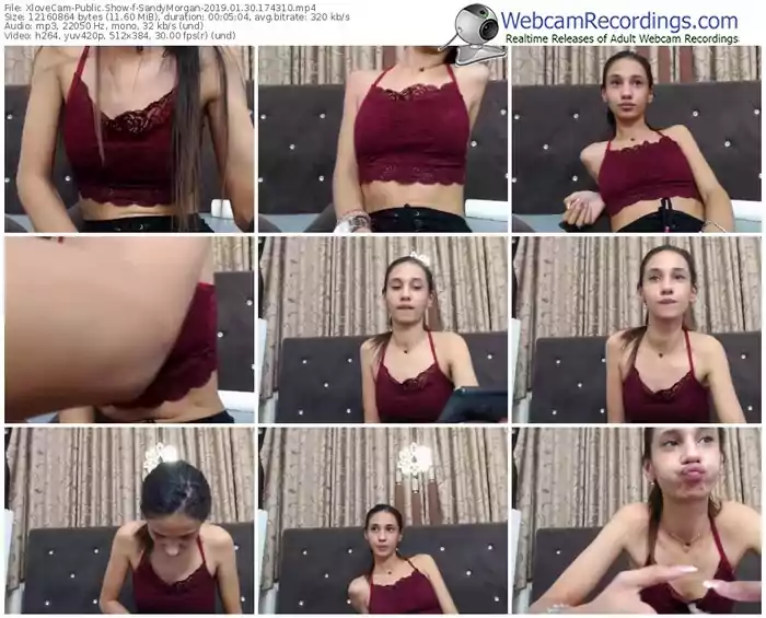xlovecam-sandymorgan-webcam-show-01_30_2019-17_43_10