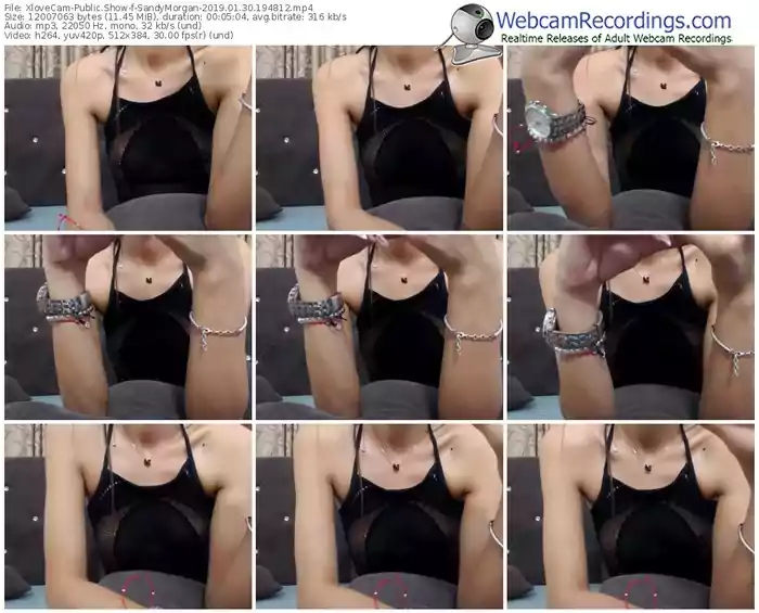 xlovecam-sandymorgan-webcam-show-01_30_2019-19_48_12