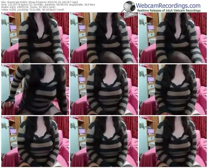 xlovecam-damini-webcam-show-01_31_2019-04_13_17