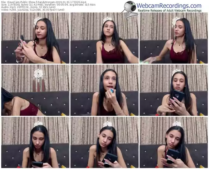 xlovecam-sandymorgan-webcam-show-01_31_2019-17_33_26