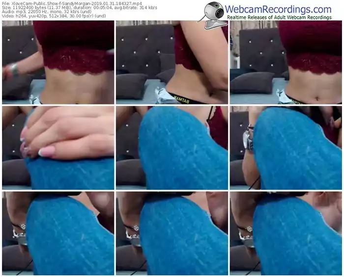 xlovecam-sandymorgan-webcam-show-01_31_2019-18_43_27